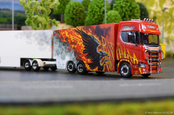 20260214-Ristimaa-Firebird-00093