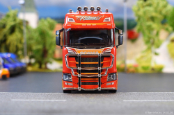 20260214-Ristimaa-Firebird-00104