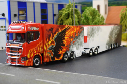 20260214-Ristimaa-Firebird-00106