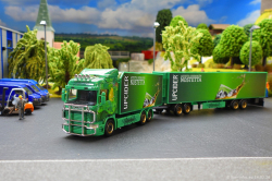 20260214-Ristimaa-Wild-Perry-00047