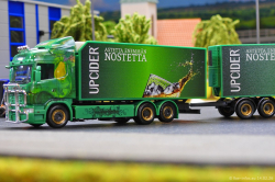 20260214-Ristimaa-Wild-Perry-00050