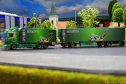 20260214-Ristimaa-Wild-Perry-00051