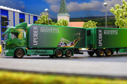 20260214-Ristimaa-Wild-Perry-00056