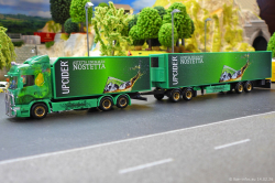 20260214-Ristimaa-Wild-Perry-00062