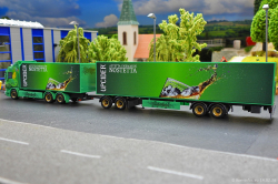 20260214-Ristimaa-Wild-Perry-00063