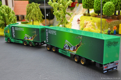 20260214-Ristimaa-Wild-Perry-00064