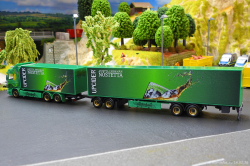 20260214-Ristimaa-Wild-Perry-00071