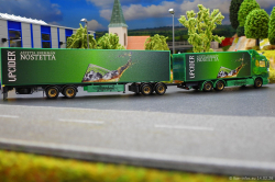 20260214-Ristimaa-Wild-Perry-00084