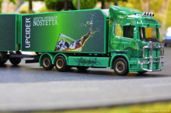 20260214-Ristimaa-Wild-Perry-00094