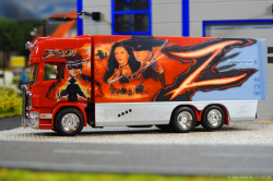 20260214-Ristimaa-Zorro-00005