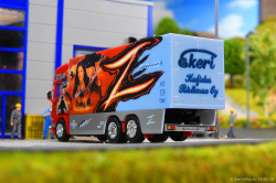 20260214-Ristimaa-Zorro-00022