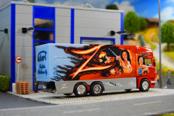 20260214-Ristimaa-Zorro-00034