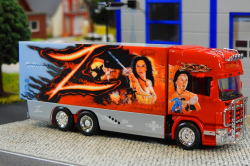 20260214-Ristimaa-Zorro-00036