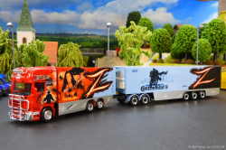 20260214-Ristimaa-Zorro-00039