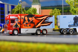 20260214-Ristimaa-Zorro-00043