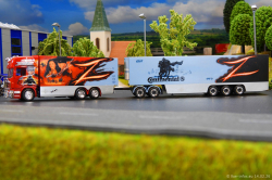 20260214-Ristimaa-Zorro-00044