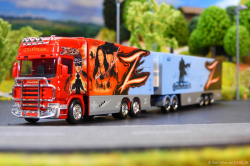 20260214-Ristimaa-Zorro-00048