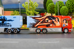 20260214-Ristimaa-Zorro-00084