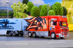 20260214-Ristimaa-Zorro-00089