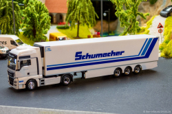 20260314-Schumacher-00302