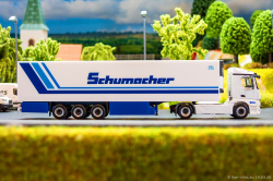 20260314-Schumacher-00429