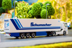 20260314-Schumacher-00432