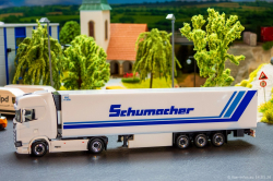 20260314-Schumacher-00693
