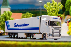 20260314-Schumacher-00733