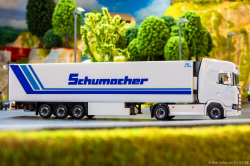 20260314-Schumacher-00736