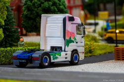 20260317-Schumacher-00382