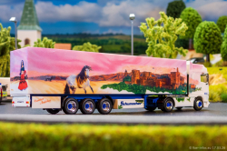 20260317-Schumacher-00437