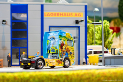 20260315-Schumacher-00890