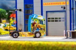 20260315-Schumacher-00891