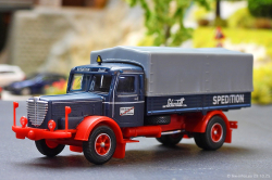 20251029-Schmidt-00117