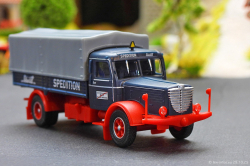 20251029-Schmidt-00137