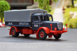 20251029-Schmidt-00138