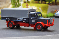 20251029-Schmidt-00139