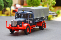 20251029-Schmidt-00143