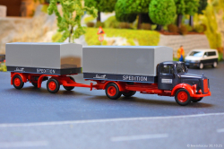 20251030-Schmidt-00082