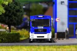 20260625-THW-00081