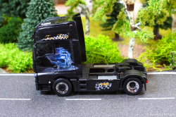 20251205-Trio-Trans-00842