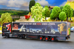 20251205-Trio-Trans-00885