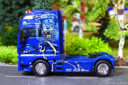 20251205-Trio-Trans-01239