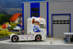 20251206-Trio-Trans-00637