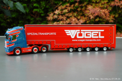 20240907-Voegel-00069