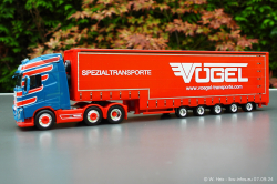 20240907-Voegel-00073