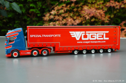 20240907-Voegel-00074