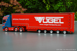 20240907-Voegel-00085