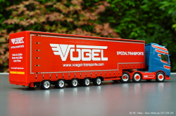 20240907-Voegel-00090