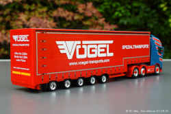 20240907-Voegel-00093